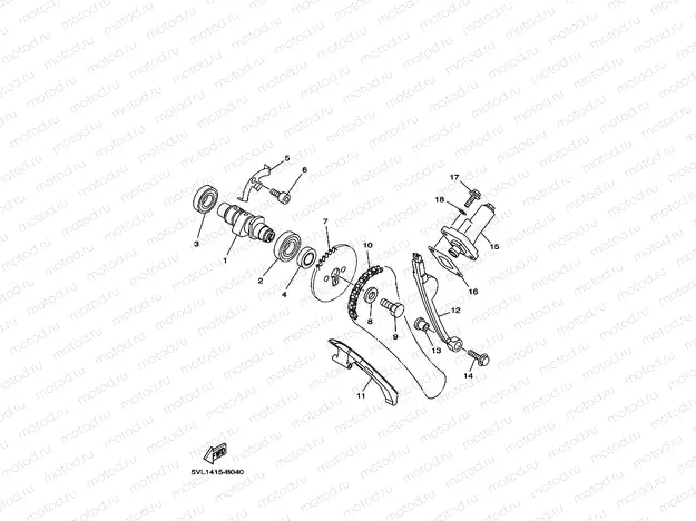 CAMSHAFT & CHAIN