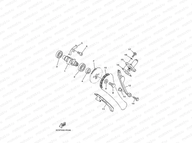 CAMSHAFT & CHAIN