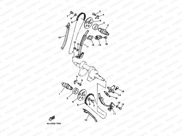 CAMSHAFT & CHAIN