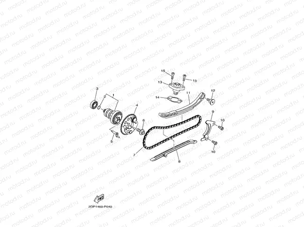 CAMSHAFT & CHAIN