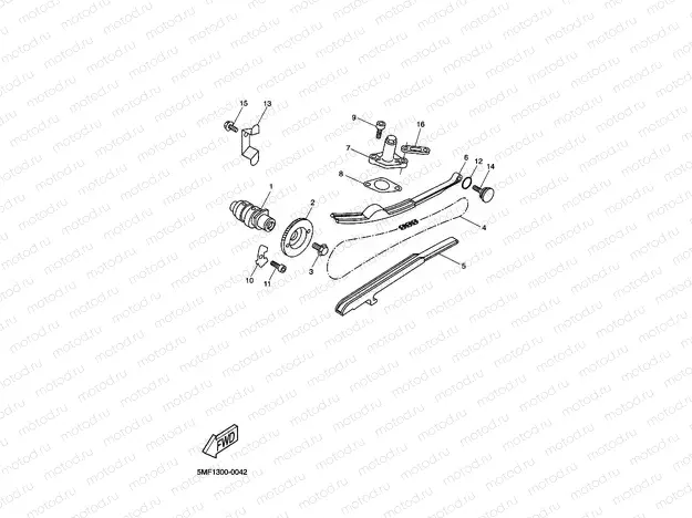 CAMSHAFT & CHAIN