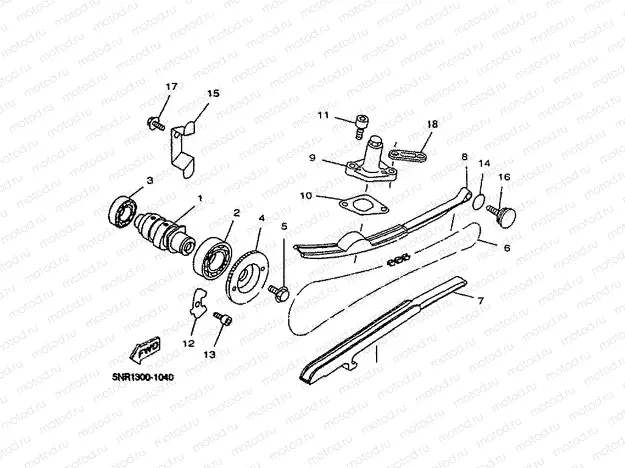 CAMSHAFT & CHAIN