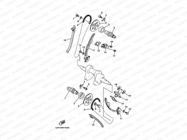 CAMSHAFT & CHAIN