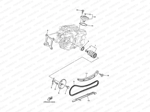 CAMSHAFT & CHAIN