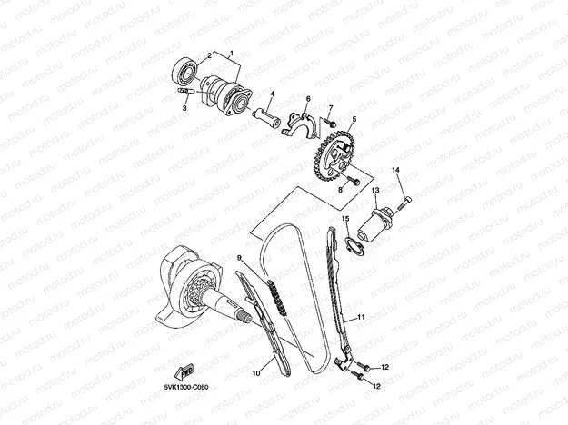 CAMSHAFT & CHAIN