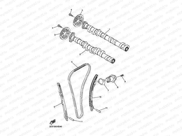 CAMSHAFT & CHAIN
