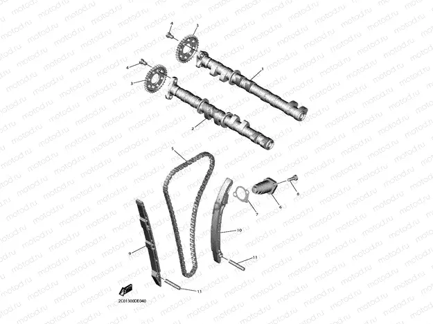 CAMSHAFT & CHAIN