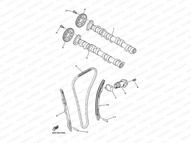 CAMSHAFT & CHAIN