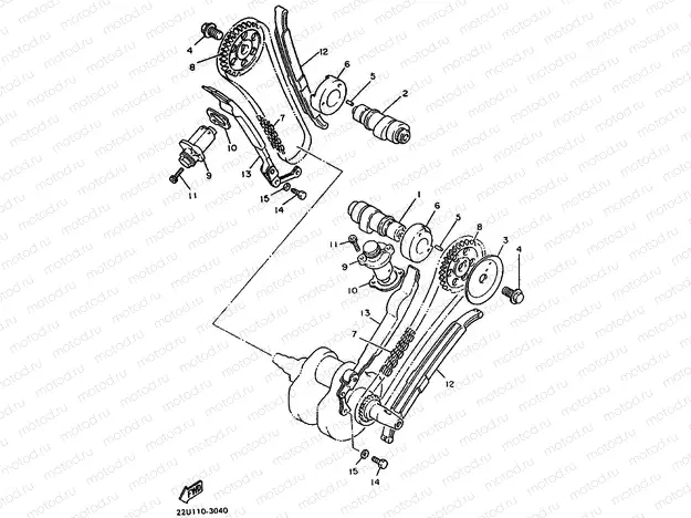 CAMSHAFT & CHAIN