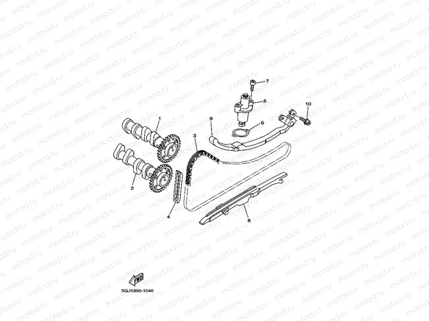 CAMSHAFT & CHAIN