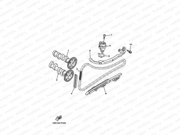 CAMSHAFT & CHAIN