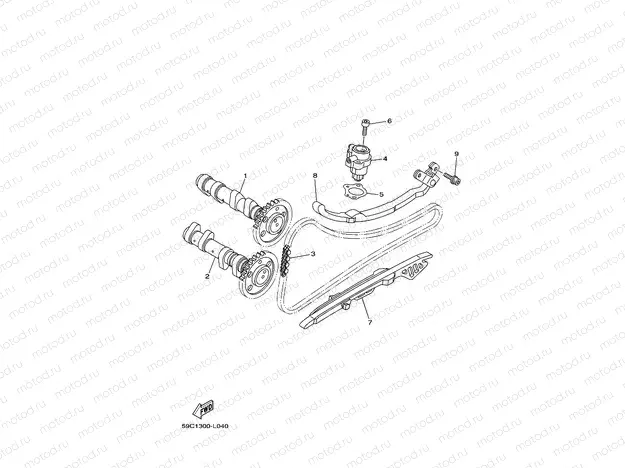 CAMSHAFT & CHAIN
