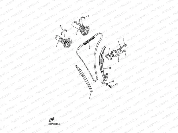 CAMSHAFT & CHAIN