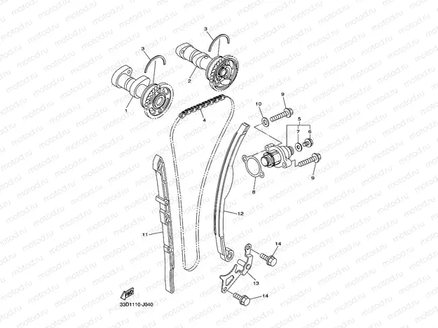 CAMSHAFT & CHAIN