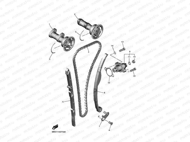 CAMSHAFT & CHAIN
