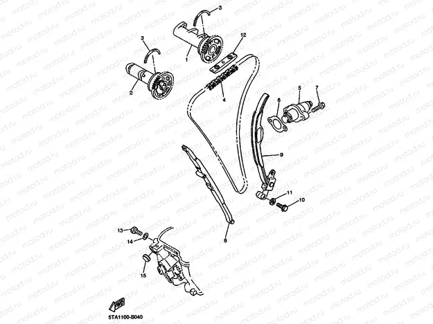 CAMSHAFT & CHAIN