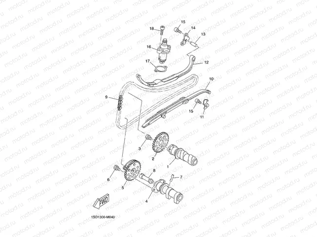 CAMSHAFT & CHAIN