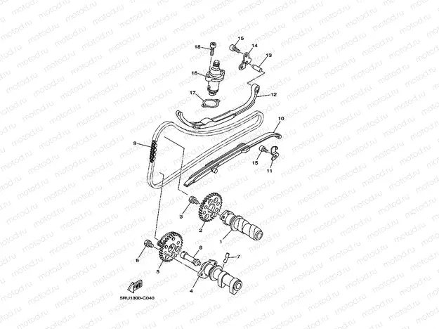 CAMSHAFT & CHAIN