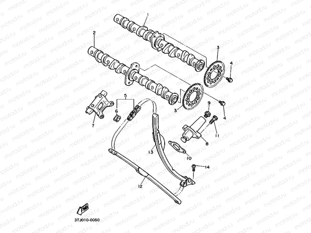 CAMSHAFT & CHAIN