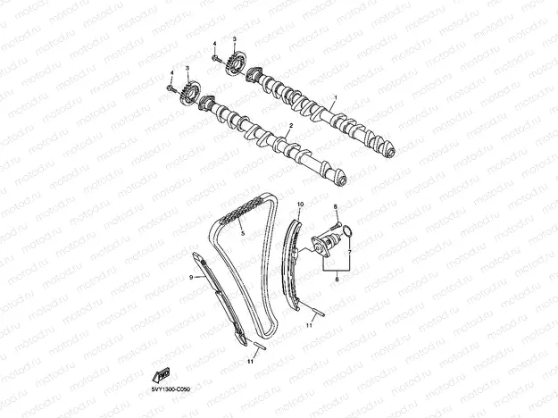 CAMSHAFT & CHAIN