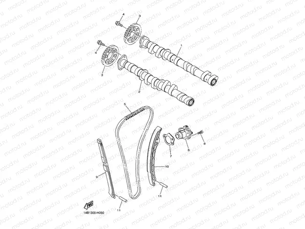 CAMSHAFT & CHAIN
