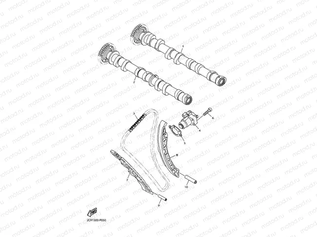 CAMSHAFT & CHAIN