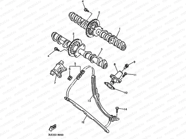 CAMSHAFT & CHAIN