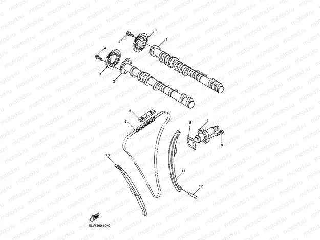 CAMSHAFT & CHAIN