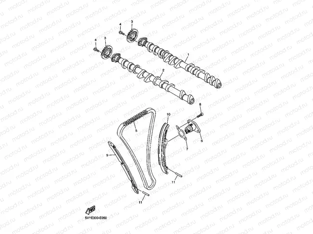 CAMSHAFT & CHAIN
