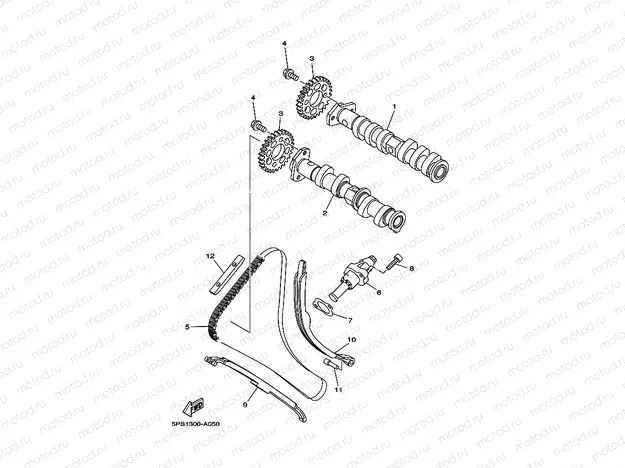 CAMSHAFT & CHAIN