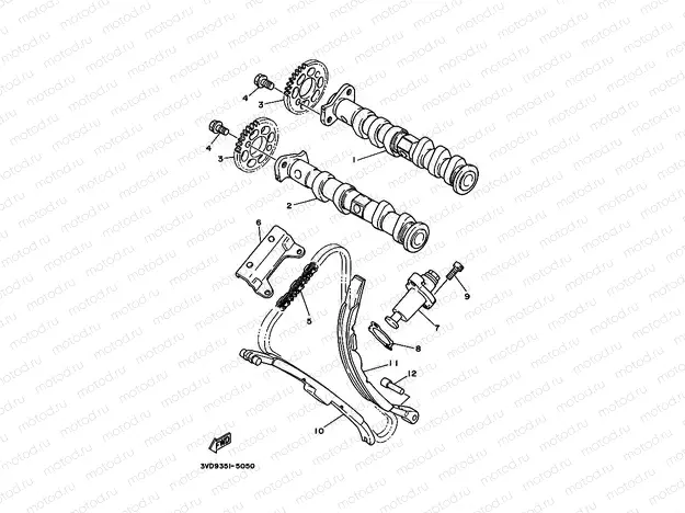 CAMSHAFT & CHAIN