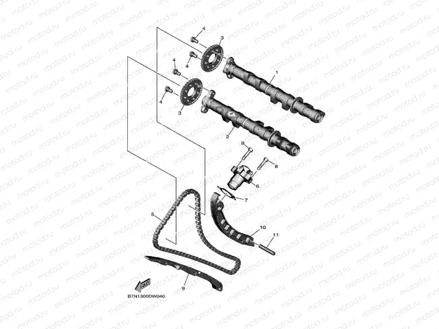 CAMSHAFT & CHAIN