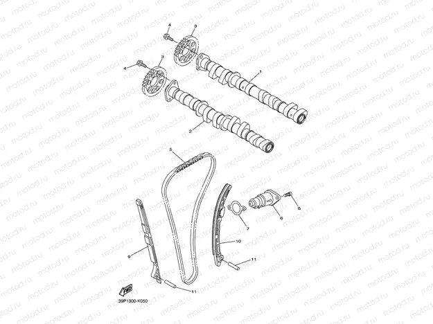 CAMSHAFT & CHAIN