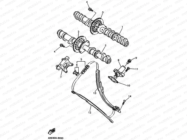 CAMSHAFT & CHAIN
