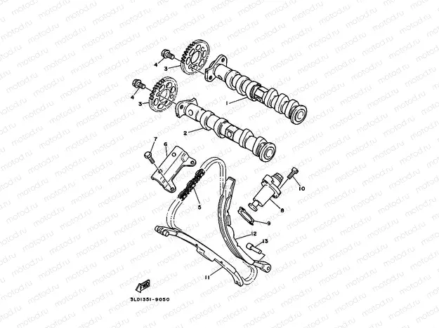 CAMSHAFT & CHAIN