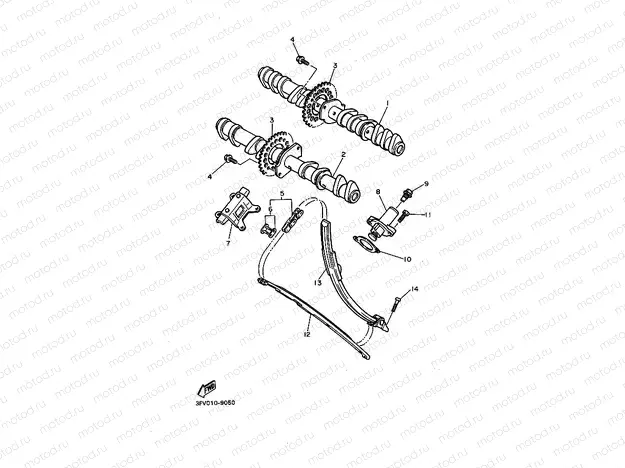 CAMSHAFT & CHAIN