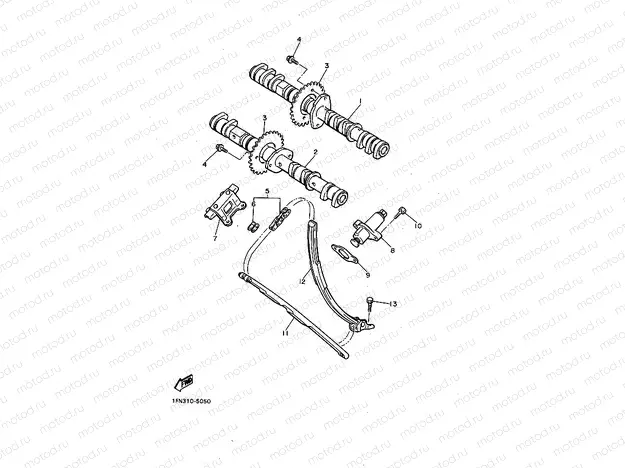 CAMSHAFT & CHAIN