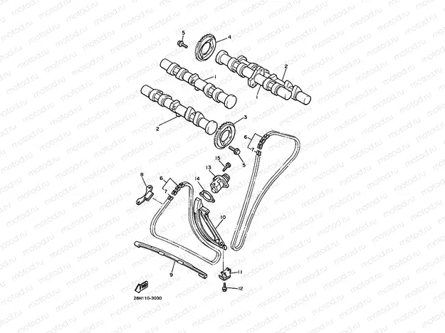 CAMSHAFT & CHAIN