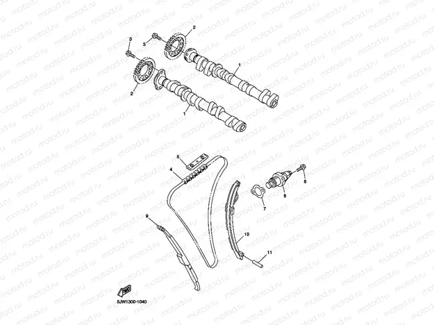 CAMSHAFT & CHAIN