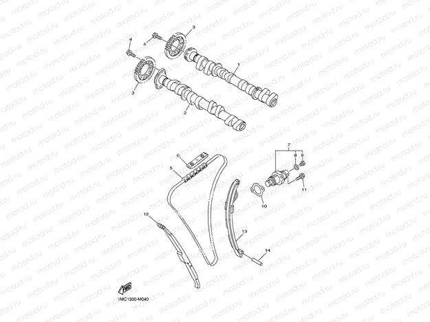 CAMSHAFT & CHAIN
