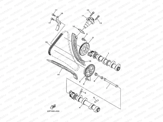 CAMSHAFT & CHAIN
