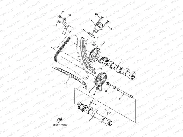 CAMSHAFT & CHAIN