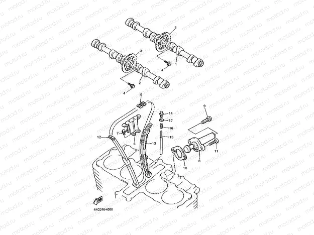 CAMSHAFT & CHAIN