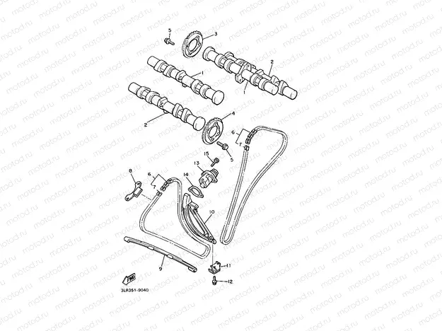 CAMSHAFT & CHAIN