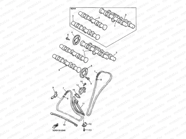 CAMSHAFT & CHAIN