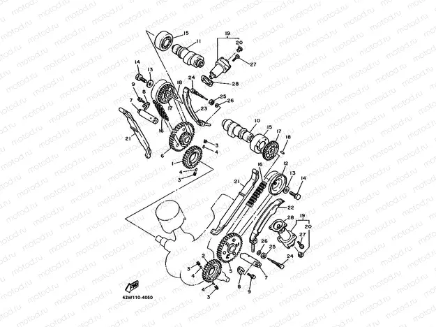 CAMSHAFT & CHAIN