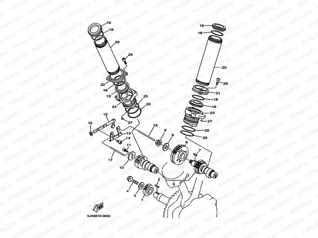 Camshaft. Chiene
