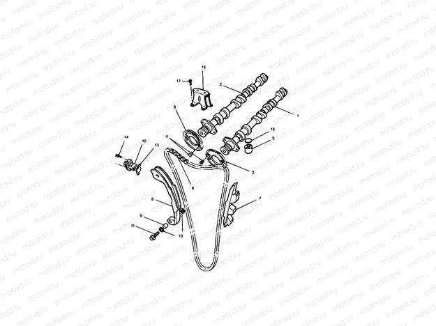 Camshaft & Drive