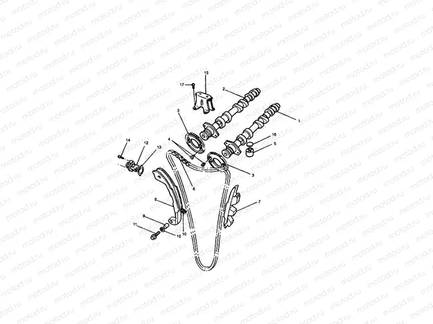 Camshaft & Drive