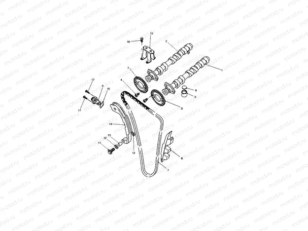 Camshaft & Drive